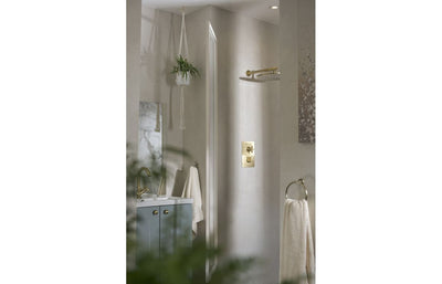 Abode Serenitie Concealed Shower (2 Exit) - Antique Brass AB4534
