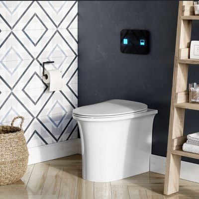 Lilly Rimless Back to Wall Toilet
