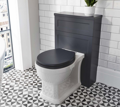 Darcy Rimless Back to Wall Toilet