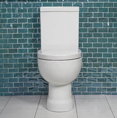 Sophia Close Coupled Toilet with Soft Closing Seat