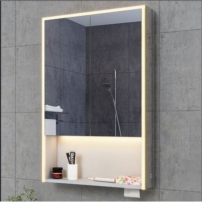 Blossom LED Mirrored Wall Cabinet with Dual Light Mode 500mm N23