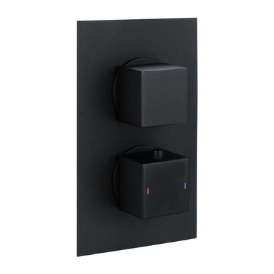Liberty Square Double Outlet Valve with Slide Rail Kit and Bath Filler - Black