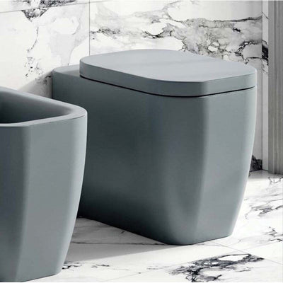 Anna Grey Rimless Back to Wall Toilet & Soft Closing Seat