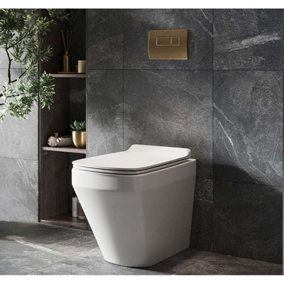 Ruth Rimless Back to Wall Toilet