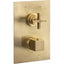 Abode Serenitie Concealed Shower (2 Exit) - Antique Brass AB4534