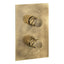 Abode Kite Concealed Shower (2 Exit) - Antique Brass AB4573