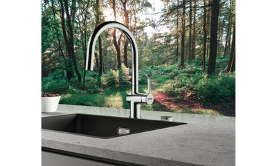 Franke Active J Spout Dual Spray Pull Down CH 115.0653.401