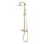 Vema Thermostatic Round Bar Valve w/Fixed Head & Riser - Brushed Brass DICM0852