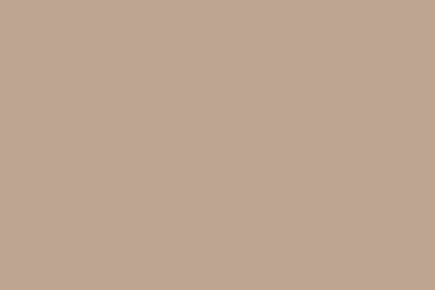 BB Complete Colour Matched Adhesive & Sealant 290ml Fudge