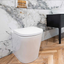 Chloe Back to Wall Toilet & Soft Close Seat