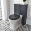 Darcy Rimless Back to Wall Toilet