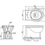 Darcy Rimless Back to Wall Toilet
