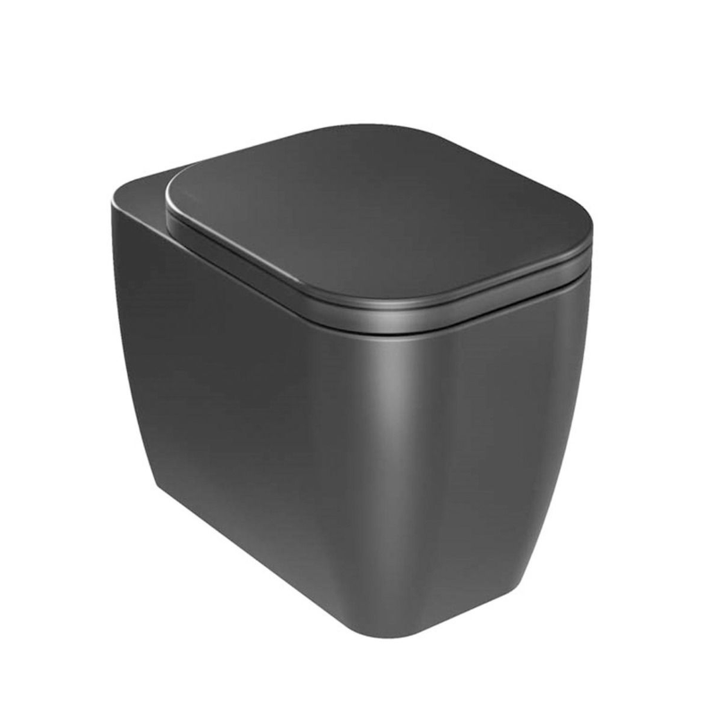 Anna Black Rimless Back to Wall Toilet & Soft Closing Seat