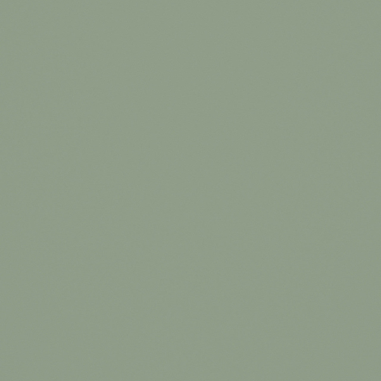 Fibo Signature - Olive Green (Plain Panel)