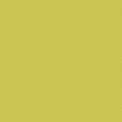 Prima by Formica Feature Splashback - Wasabi- Gloss - FP5341