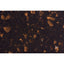 Staron FG148 Tempest Radiance (Shimmer) Accessories Only