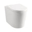 Chloe Back to Wall Toilet & Soft Close Seat