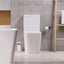 Elsa Close Coupled Toilet with Soft Closing Seat